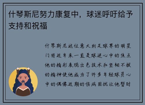 什琴斯尼努力康复中，球迷呼吁给予支持和祝福