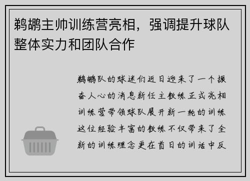 鹈鹕主帅训练营亮相，强调提升球队整体实力和团队合作